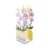 PROFUMATORE PER AMBIENTI 100 ML - LIVINIA PICCOLO ORCHIDEA VIOLA