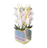 PROFUMATORE PER AMBIENTI 200 ML - LIVINIA GRANDE ORCHIDEA BIANCO