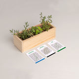 MINI ORTO MEDITERRANEO