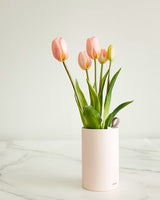 MAZZO DI TULIPANI PROFUMATI - PINK