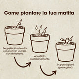 MATITA PIANTABILE DI FIORI