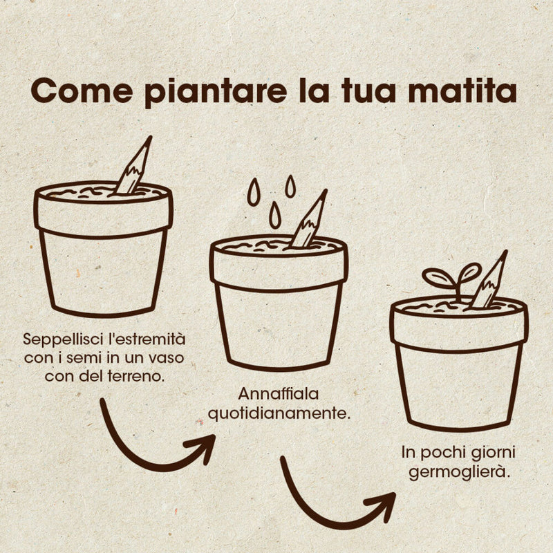 MATITA PIANTABILE DI FIORI