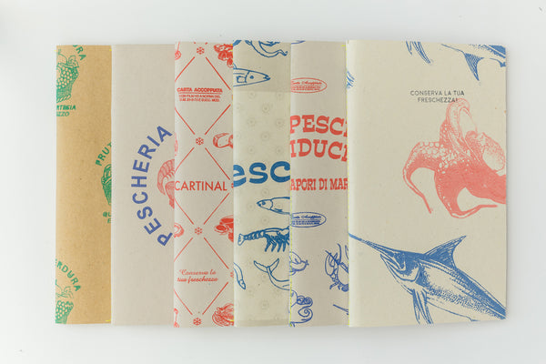 EDIZIONE PRECARIE CONSERVA LA TUA FRESCHEZZA! - GRANDE