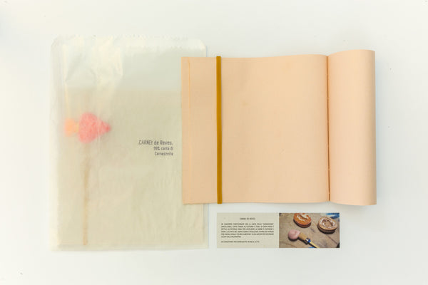 EDIZIONI PRECARIE CARNET DES REVES